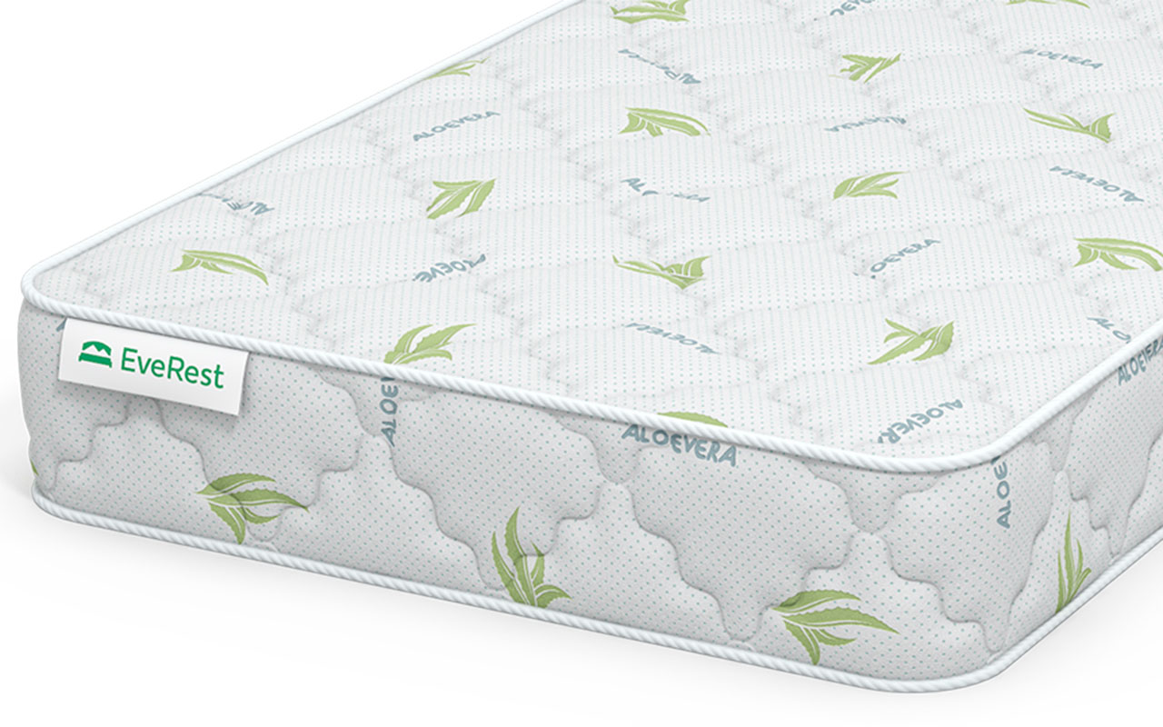 Everest Ту-Вэй Кокос мемори S1000 фото 6